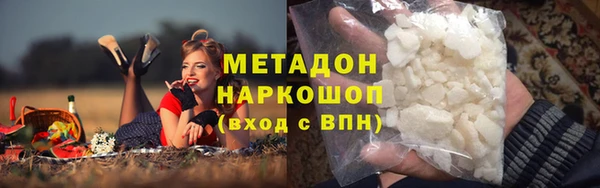 стаф Алзамай