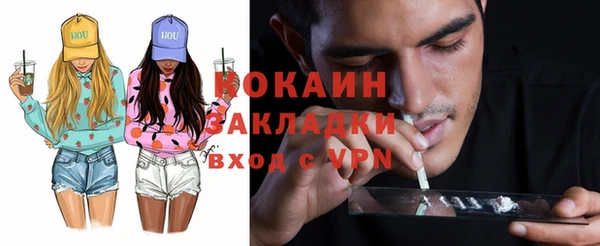 стаф Алзамай