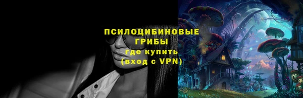 стаф Алзамай