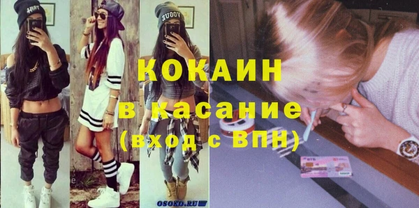 стаф Алзамай