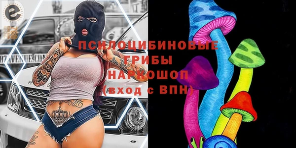 стаф Алзамай
