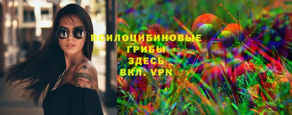 spice Алексин